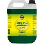 Melon - Shampoo Automotivo Neutro 1:400